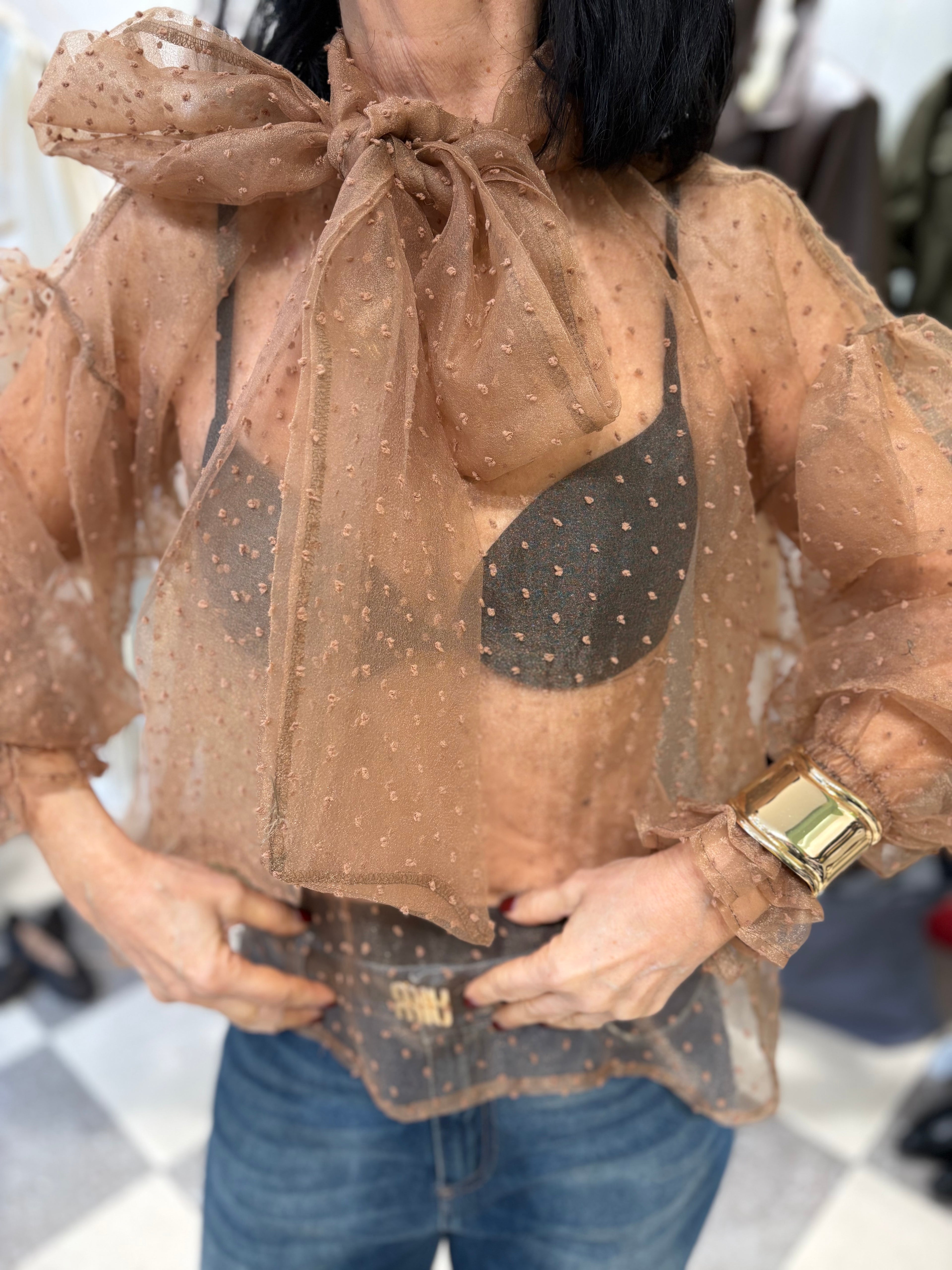 Blusa in Organza Plumetis Marrone con Fiocco – €39,90