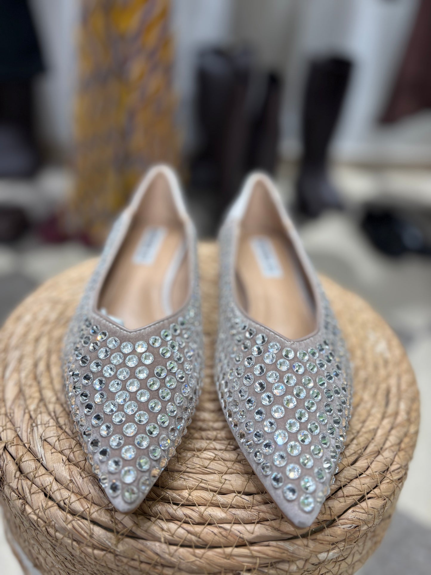 Ballerina a punta con applicazioni di strass