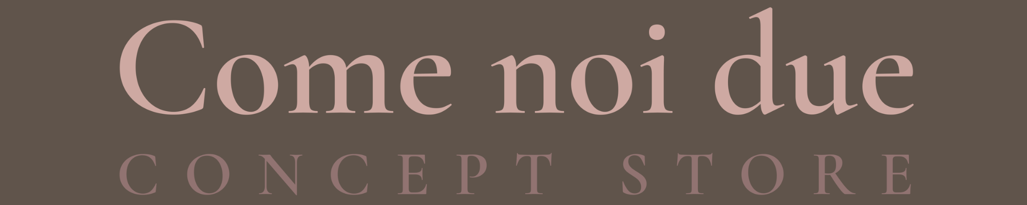 Come noi due concept store